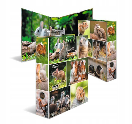 Segregator Gryzonie 7 Cm Dekorart