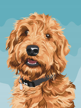 Duży Zestaw Do Malowania Po Numerach Artiste Playful Labradoodle Dpcraft