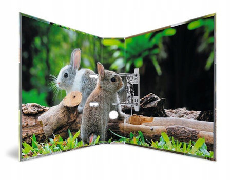 Segregator Gryzonie 7 Cm Dekorart