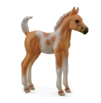 Źrebie Pinto Foal Standing Palomino Collecta Dante