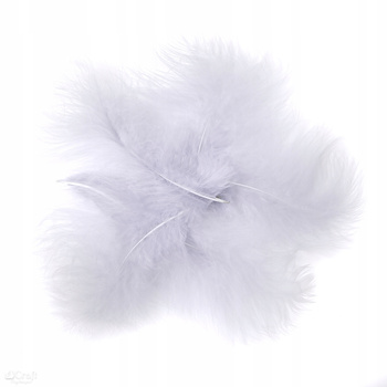 Pióra Indycze 15 Cm, 5 Szt. Szary DpCraft