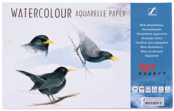 Blok Akwarelowy Art Expert A4/10 Ark 300 G. Kreska