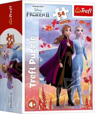 Puzzle Mini 54 Frozen mix