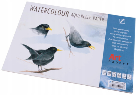 Blok Akwarelowy Art Expert A4/10 Ark 300 G. Kreska