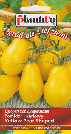 Nasiona Pomidor gruntowy Solanum lycopersicum L.Yellow Pearshaped 0,2 gram Plantico