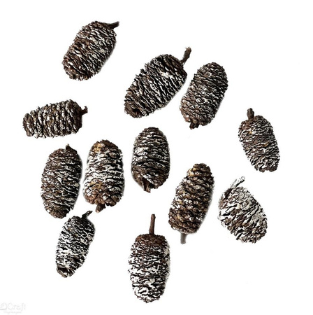 Mini szyszki, 12 szt., bielone DpCraft