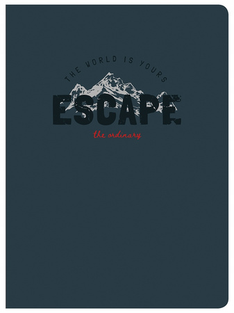 Zeszyt Basic A5 80k Linia Interdruk