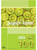 Papier A3 Kolor A'100 Kreska