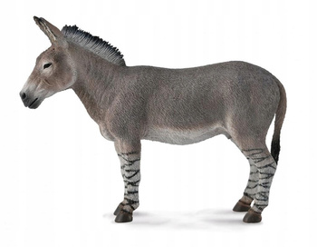 Osioł Afrykański (L) Collecta Dante