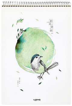 Kołoszkicownik 25K A3, Ptak, P16 Incood qx