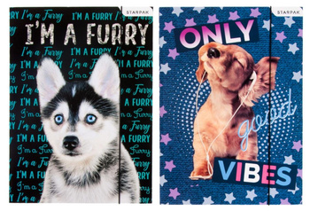 Teczka Z Gumką A4 Pieski Starpak