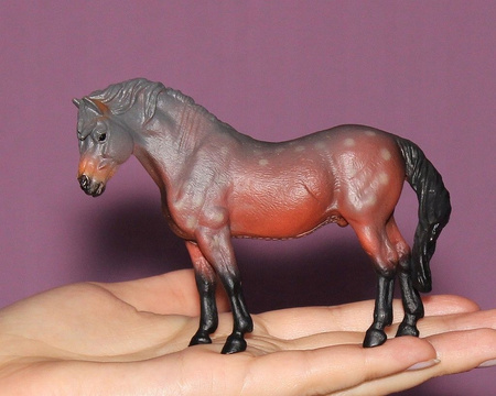 Figurka Kucyk Baydatmoor (L) Collecta