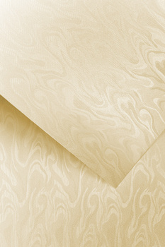 Karton Ozdobny Papirus Kremowy 20szt 220g 201002 Galeria Papieru