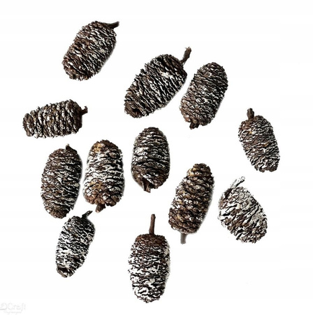 Mini szyszki, 12 szt., bielone DpCraft