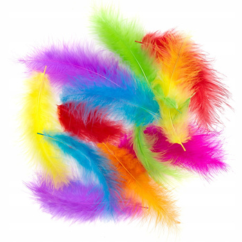 Pióra Indycze 10-15 Cm, 30 Szt. Brights Dpcraft