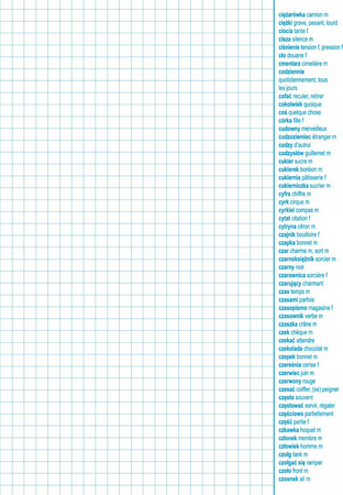 Zeszyt Słownik Po-Fran Gatis A5 60Kart Gatis