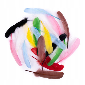 Pióra Gęsie 16 Cm, 20 Szt., Multikolor Dpcraft