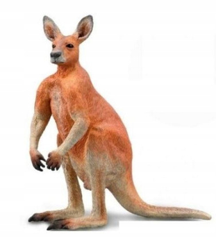 Figurka Kangur Czerwony Samiec Collecta