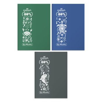Zeszyt A5 32 Kratka Eco Pp Ocean Colors Herlitz