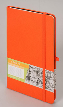 Notes Romantyzm A5 Kratka Pomarańcz. Antra