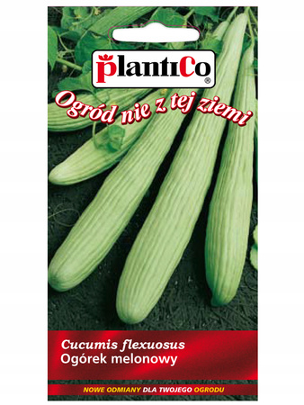 Nasiona Ogórek Gruntowy melonowy Fegouz jasnozielony 3 Gramy Plantico