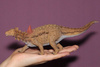 Figurka Dinozaur Scelidozaur 1:40 Skala (Deluxe) Collecta