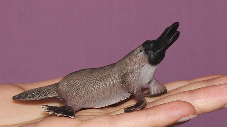 Figurka Dziobak Australijski (M) Collecta