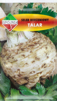 Nasiona Seler Korzeniowy Talar 1 Gram Spójnia