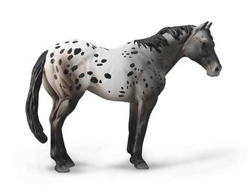 Niebieski Deresz Appaloosa Collecta