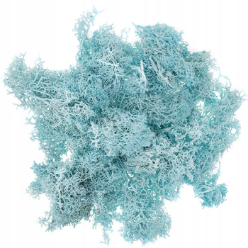 Mech Turkusowy 30G Dpcraft