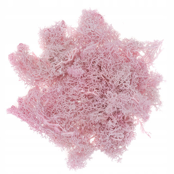 Mech Różowy 30G Dpcraft