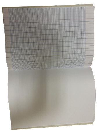 Zeszyt Ćwiczeń A4 21X30 48 Stron Linia Specjalna Caliligraphe Clairfontaine