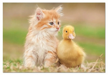 Puzzle 500 Uroczy Przyjaciele G3 Educa.