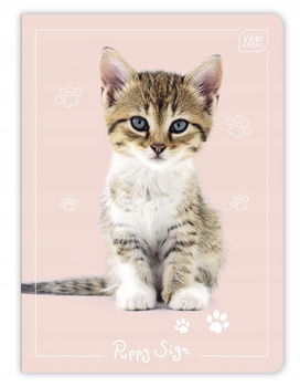 Zeszyt A5 16 Kol3 Linia 70g Uv Puppy Sign Interdruk