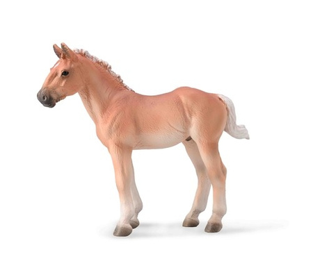 Noriker Kasztanowa Klacz Collecta