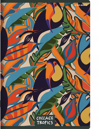 Zeszyt A5 96k Collage Linia 70g Mix Top 2000