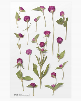 Naklejki Ozdobne Kwiaty Wiecznik Kulisty Appree