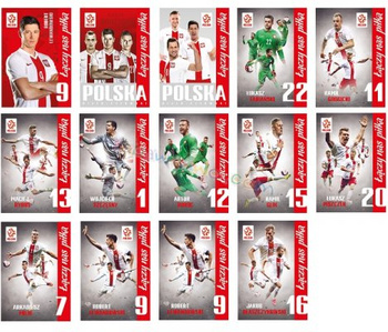 Karty Kolekcjonerskie Pzpn Karty Kibica Interdruk