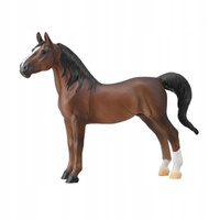 American Saddlebred Stallion Liver Kasztanowy Collecta