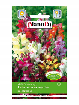 Nasiona Lwia Paszcza Wysoka Mieszanka - Wysoka 0,5 Gram Plantico
