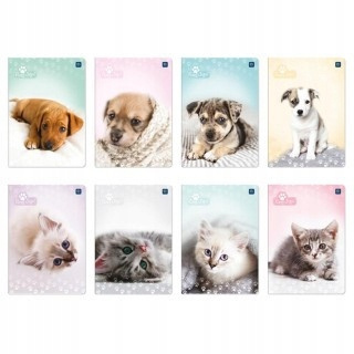 Zeszyt A5 32 Linia Uv Puppy Interdruk