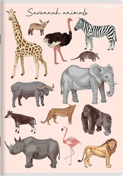 Zeszyt A5 32k Pp Kratka 70g 2023 Top 2000