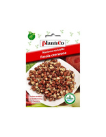 Nasiona Na Kiełki Fasola Czerwona 50 Gram Plantico