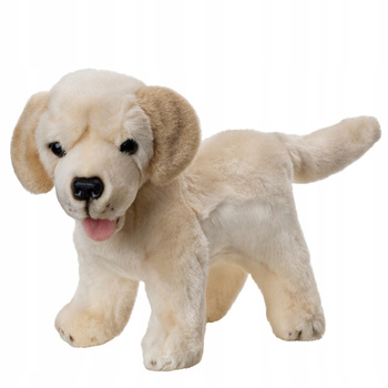 Maskotka Labrador Szczeniaczek Stojący 25 Cm 14082 Beppe