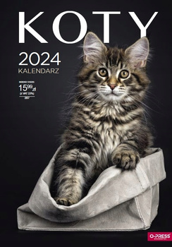 Kalendarz 2024 Ścienny A3 Koty O-Press