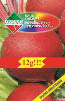 Nasiona Burak Ćwikłowy Czerwona Kula 2 - Czerw. Kula Rew 12 Gram Plantico