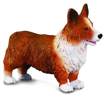 Figurka Pies Welsh Corgi (M) Collecta